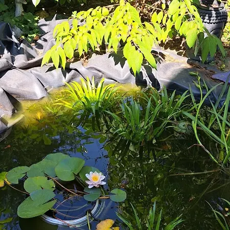 アパート Luca-lak *