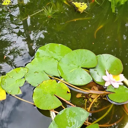 アパート Luca-lak *