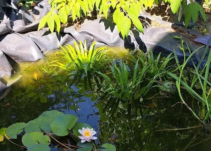 Appartement Luca-lak *