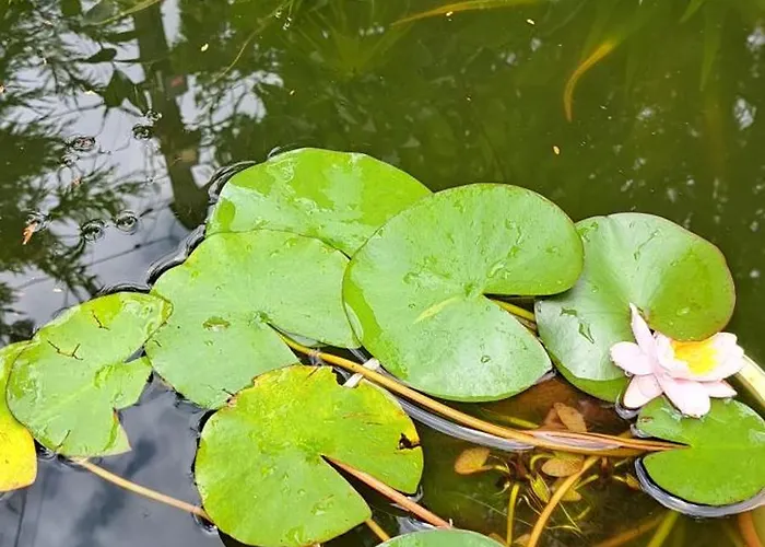 Appartement Luca-lak *